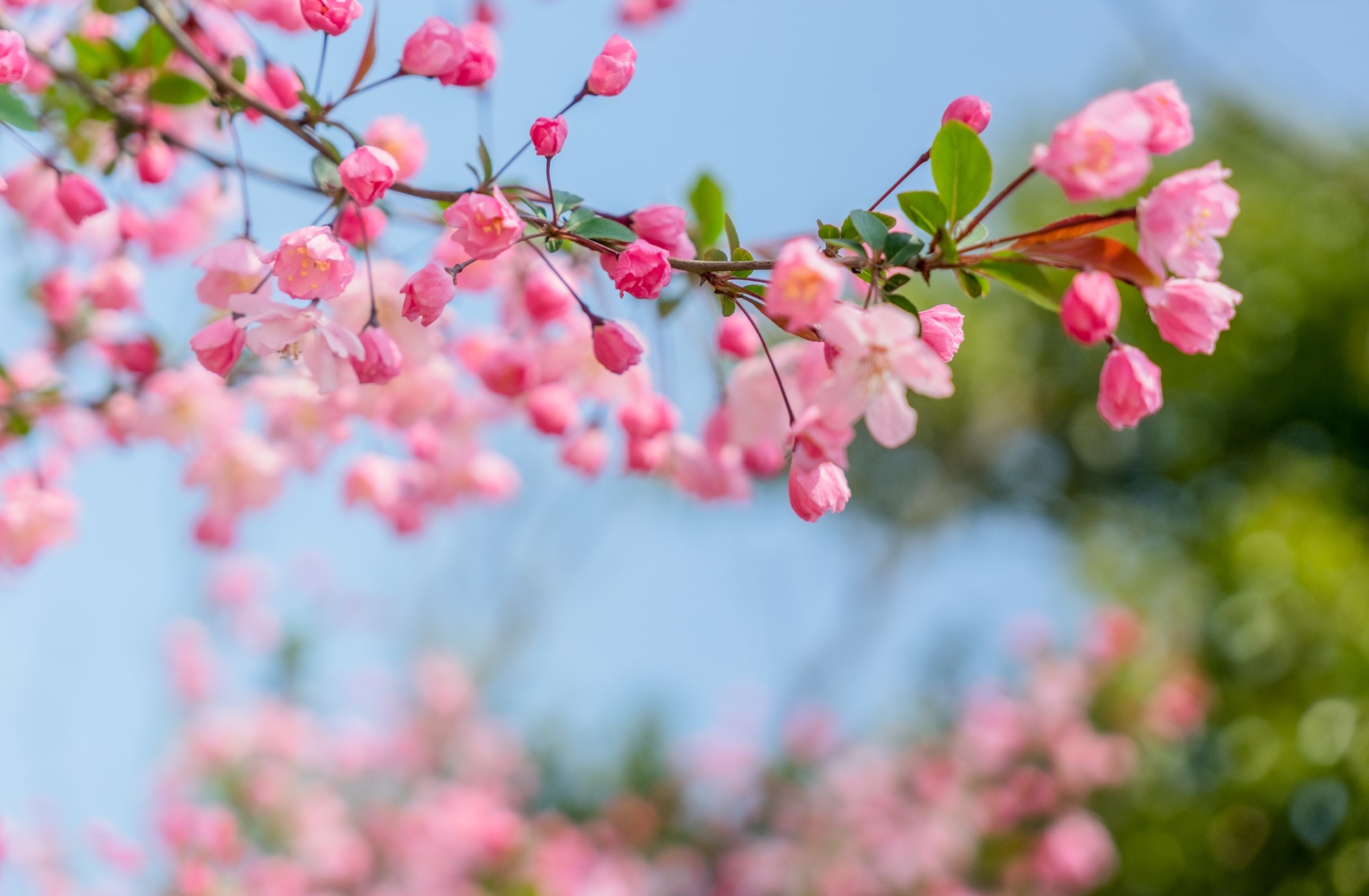 Wellnessangebot im April